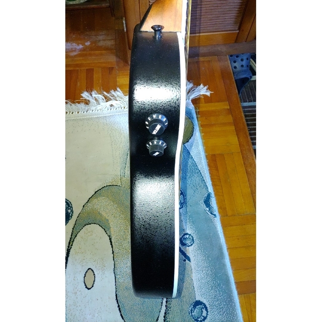 Aria エレアコ 楽器のギター(アコースティックギター)の商品写真