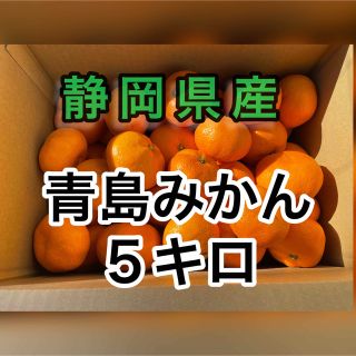 静岡県産　青島みかん　５キロ　送料込み(フルーツ)