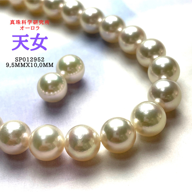 超特価SALE開催! 至極の一品!オーロラ天女9,5mmx10,0mm SET ネックレス 超特価SALE開催! 至極の一品!オーロラ天女9,5mmx10,0mm SET ネックレス