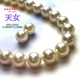 至極の一品！オーロラ天女9,5mmx10,0mm  SET(ネックレス)