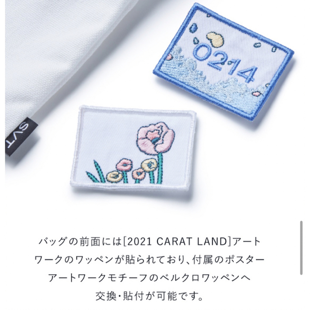 SEVENTEEN(セブンティーン)のSEVENTEEN 2021 CARAT LAND SACOCHE BAG エンタメ/ホビーのタレントグッズ(アイドルグッズ)の商品写真