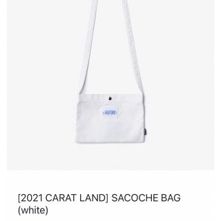 セブンティーン(SEVENTEEN)のSEVENTEEN 2021 CARAT LAND SACOCHE BAG(アイドルグッズ)