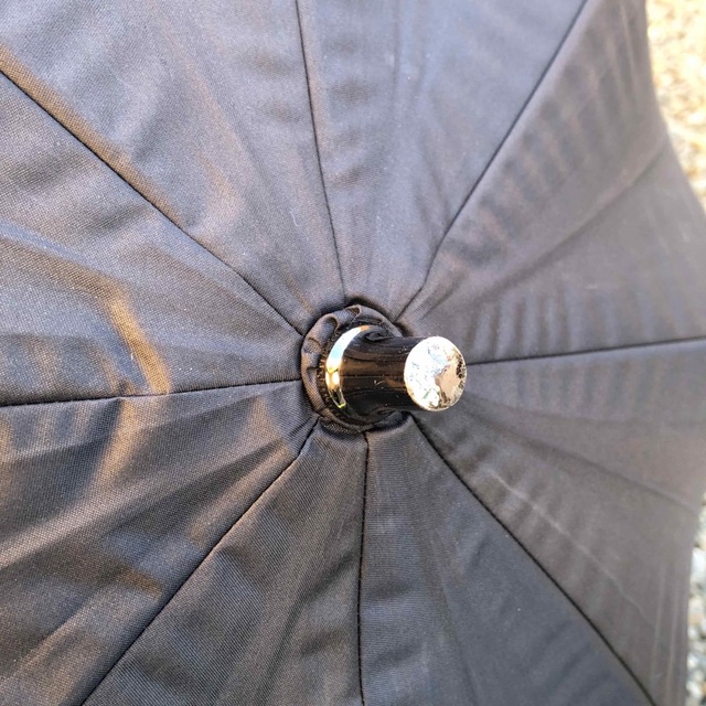 ANNA SUI(アナスイ)の即決 ANNA SUI アナスイ 日傘 レディースのファッション小物(傘)の商品写真