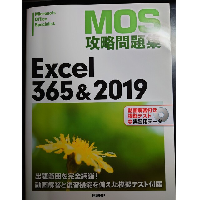 ＭＯＳ攻略問題集Ｅｘｃｅｌ３６５＆２０１９ | energysource.com.br