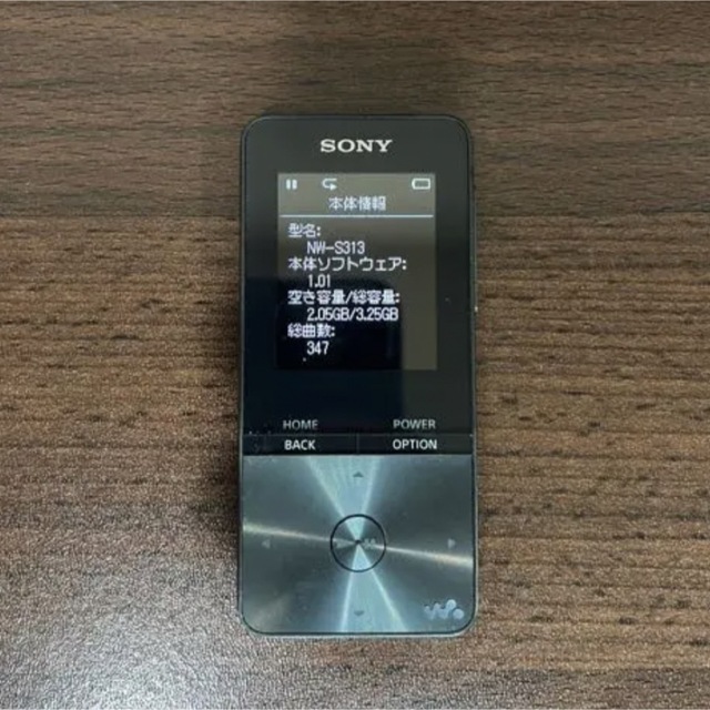 SONY ウォークマン NW-S313 1