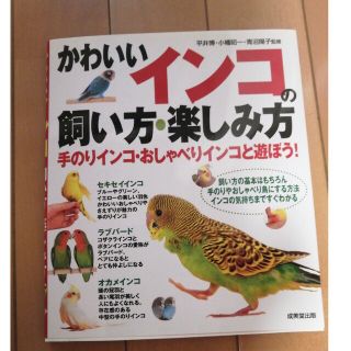 かわいいインコの飼い方・楽しみ方(住まい/暮らし/子育て)