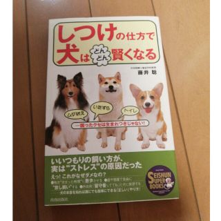 しつけの仕方で犬はどんどん賢くなる ムダ吠え・いたずら・トイレ…困ったクセは生ま(住まい/暮らし/子育て)