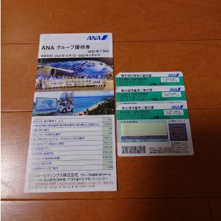 エーエヌエー(ゼンニッポンクウユ)(ANA(全日本空輸))のANA株主優待3枚、グループ優待券１冊(その他)