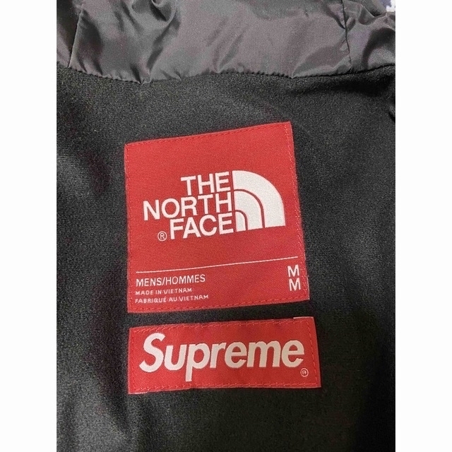 Supreme(シュプリーム)のSupreme The North Face Mountain Parka 雪山 メンズのジャケット/アウター(マウンテンパーカー)の商品写真