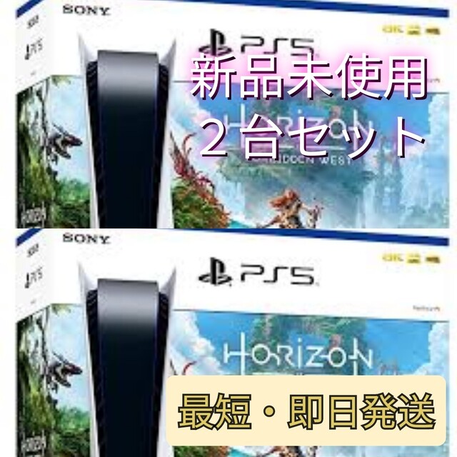 100％品質 24時間限定値下25日まで！ps5 2台セット 新品未使用 holizon