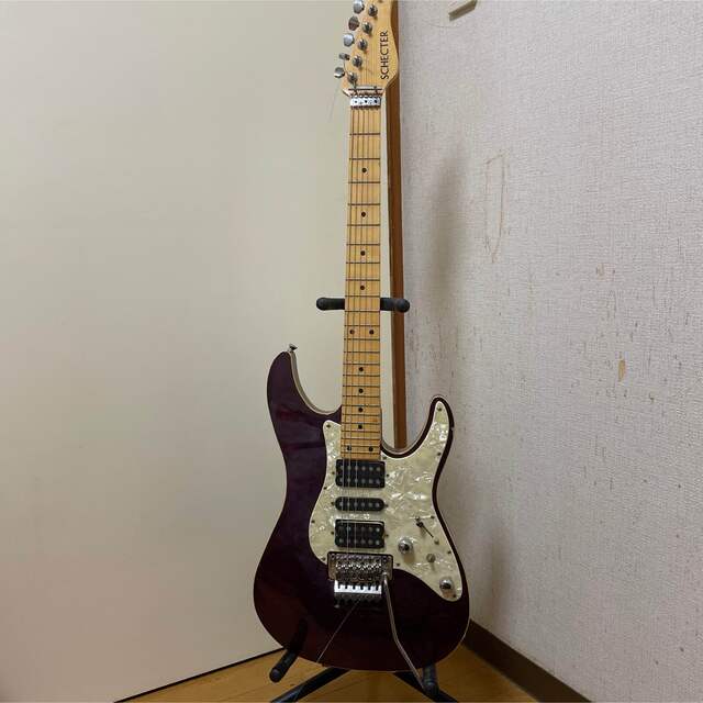 SCHECTER シェクター　エレキギター