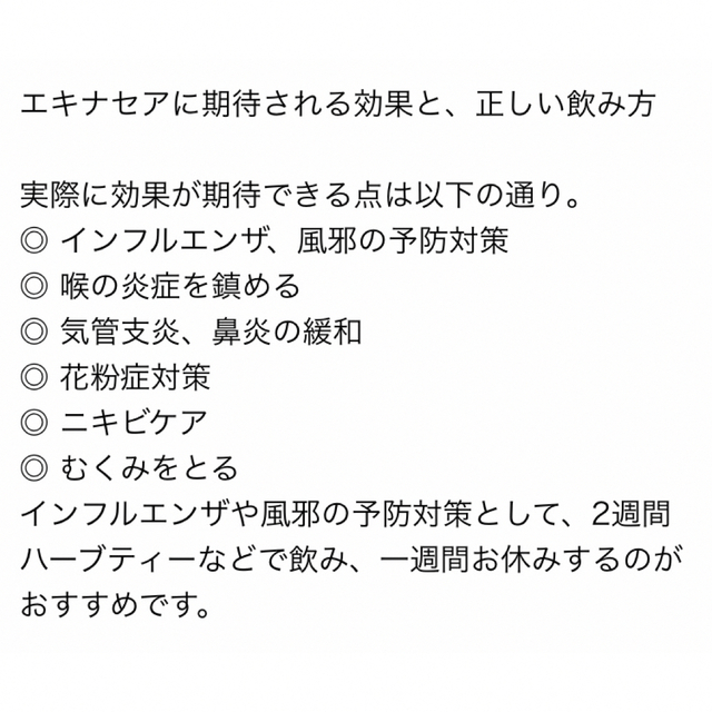 生活の木(セイカツノキ)のエキナセアベア　ティーバック30袋入　生活の木おいしい ハーブティー　お茶 食品/飲料/酒の飲料(茶)の商品写真