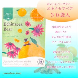 セイカツノキ(生活の木)のエキナセアベア　ティーバック30袋入　生活の木おいしい ハーブティー　お茶(茶)