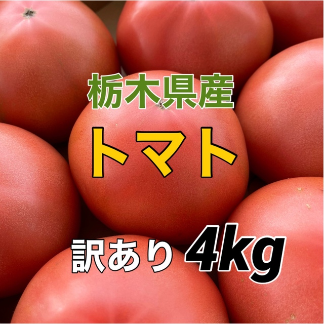 農園直送　栃木県産　王様トマト　かれん　たっぷり　4kg超 食品/飲料/酒の食品(野菜)の商品写真