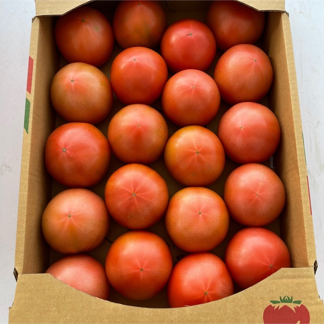 農園直送　栃木県産　王様トマト　かれん　たっぷり　4kg超 食品/飲料/酒の食品(野菜)の商品写真