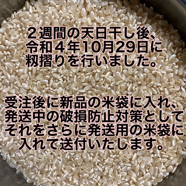 玄米　無農薬　天日　干し　10kg