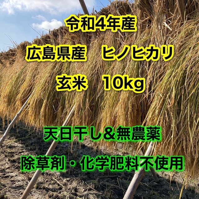 20k-　農薬化学肥料除草剤不使用　R5年度米愛媛県産ヒノヒカリ稲架掛け米