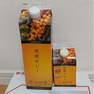 フィネス(Finess)の豊潤サジー 1000ml&300ml(その他)