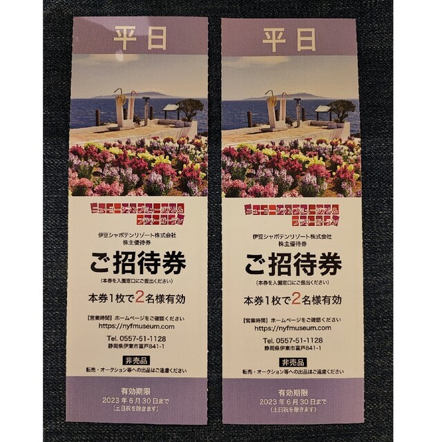 【うささ様専用】ニューヨーククランプミュージアム 平日2名様×2枚 チケットの施設利用券(遊園地/テーマパーク)の商品写真