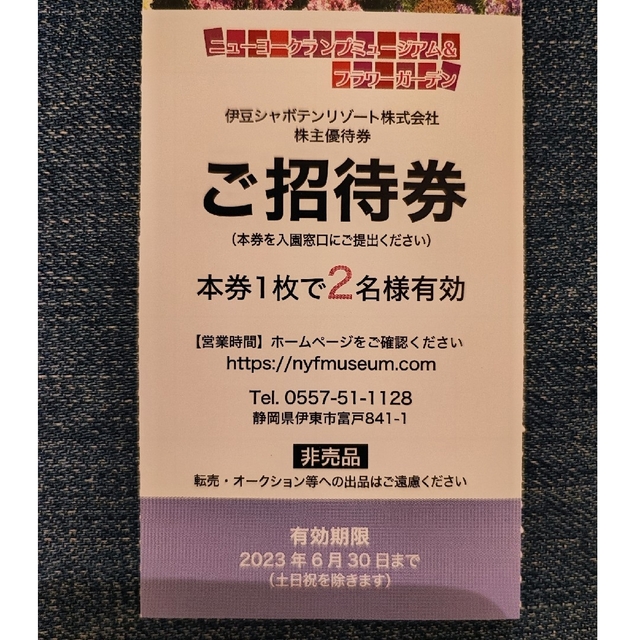 ニューヨーククランプミュージアム 平日2名様×2枚 チケットの施設利用券(遊園地/テーマパーク)の商品写真