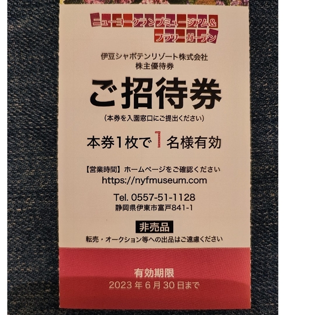 ニューヨーククランプミュージアム 全日1名様×2枚 チケットの施設利用券(遊園地/テーマパーク)の商品写真