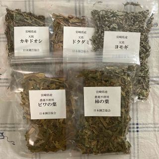 天然＆無農薬薬草茶５種(ヨモギ.カキドオシ.ドクダミ.ビワ.カキ)(健康茶)