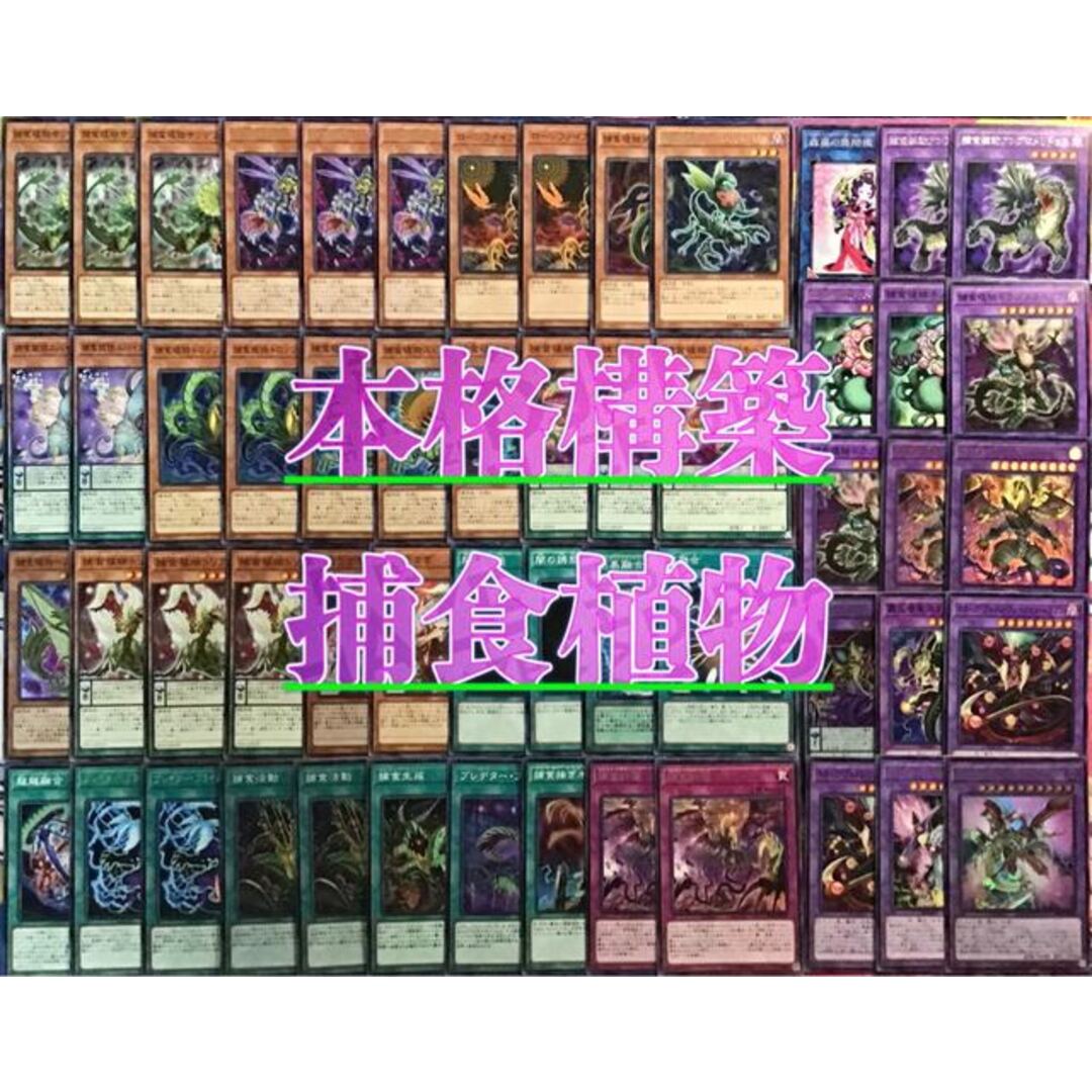 高質で安価 遊戯王 超越竜デッキ メインデッキ40枚 EX15枚 mba.today