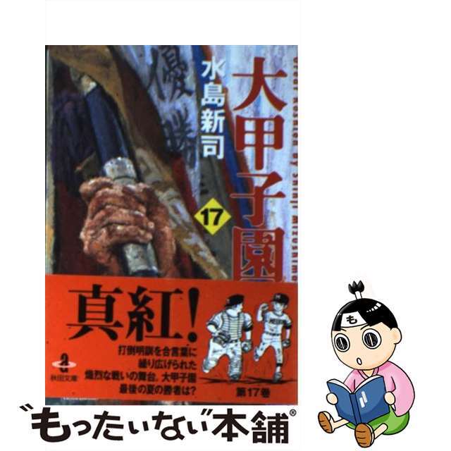 大甲子園 １７/秋田書店/水島新司