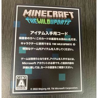 マインクラフト　コード(その他)