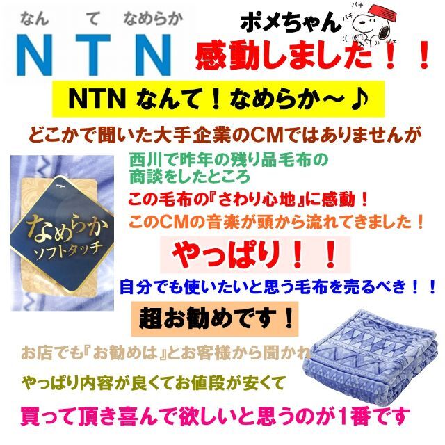 ２枚セット！西川なめらかソフトタッチあったかマイヤー毛布 ✨ブルー+ピンク