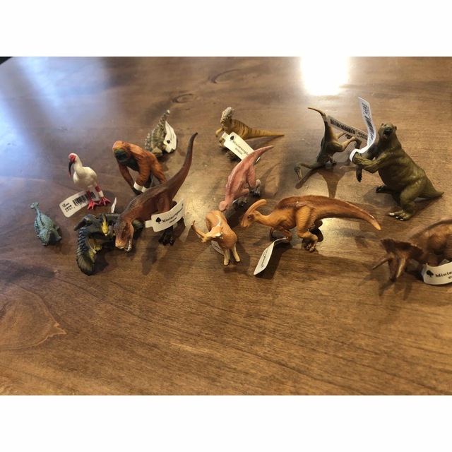 大特価⭐︎恐竜12体フィギュアセット 新品未使用 www.findabook.co.il