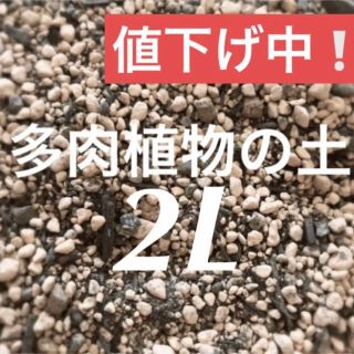 値下げ中❣️多肉植物　サボテンの土　約2リットル 即購入歓迎❣️(その他)