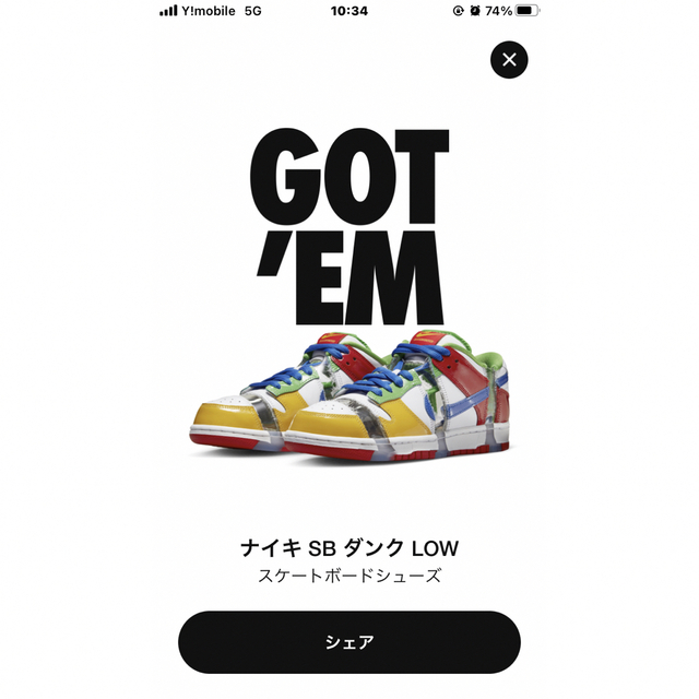 Nike SB Dunk Low