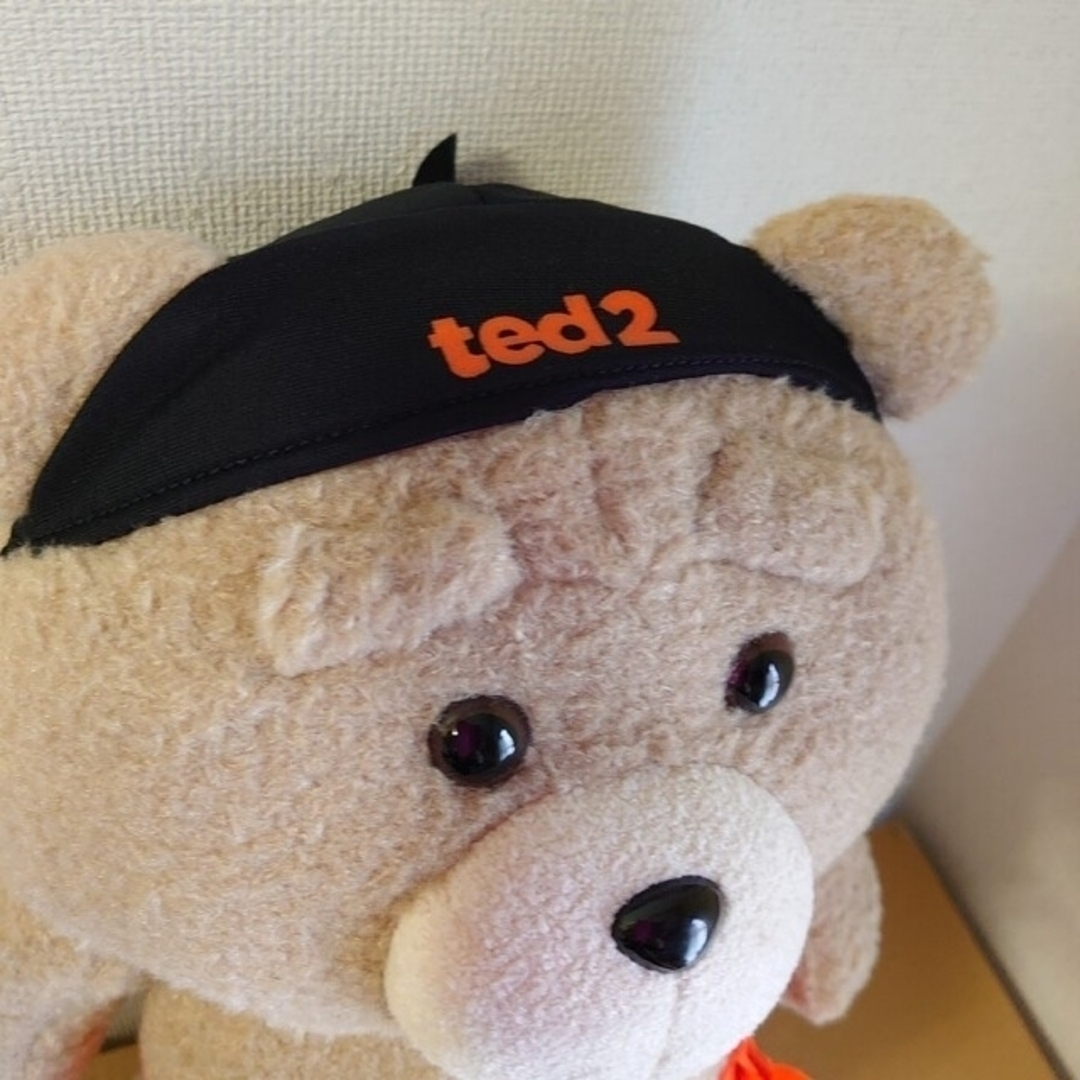 テッド ted ぬいぐるみ 2個セット エンタメ/ホビーのおもちゃ/ぬいぐるみ(ぬいぐるみ)の商品写真