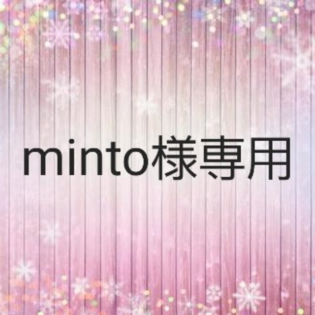 minto様専用 ハンドメイドのキッズ/ベビー(外出用品)の商品写真