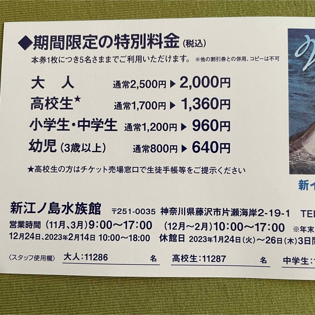 えのすい】新江ノ島水族館 特別割引券 20%OFF