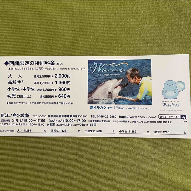 えのすい】新江ノ島水族館 特別割引券 20%OFF