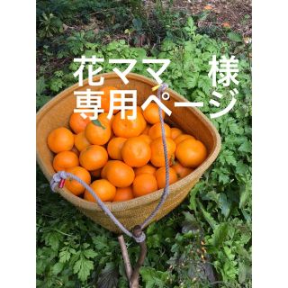 花ママ　様　専用ページ(フルーツ)