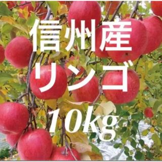 信州産　リンゴ　10kg(フルーツ)