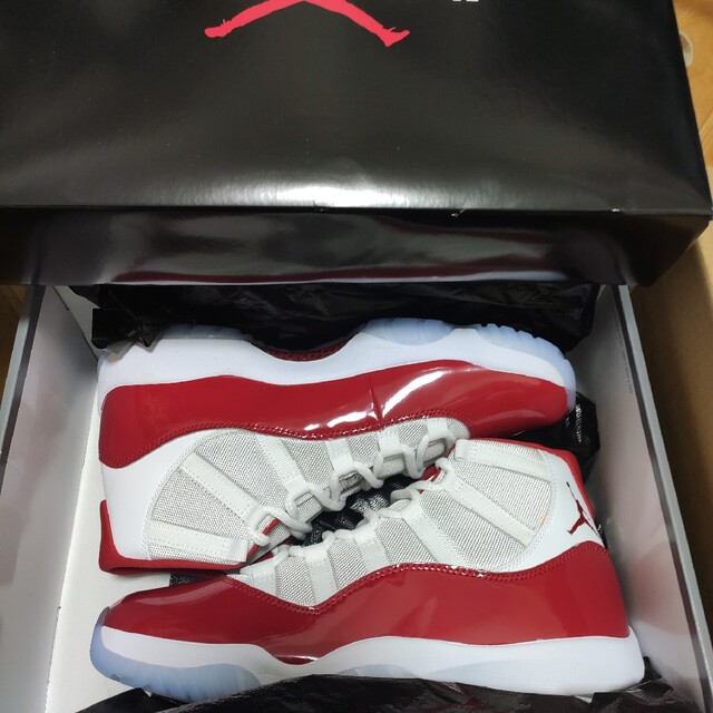 Jordan Brand（NIKE） - 29cm Nike Air Jordan 11 