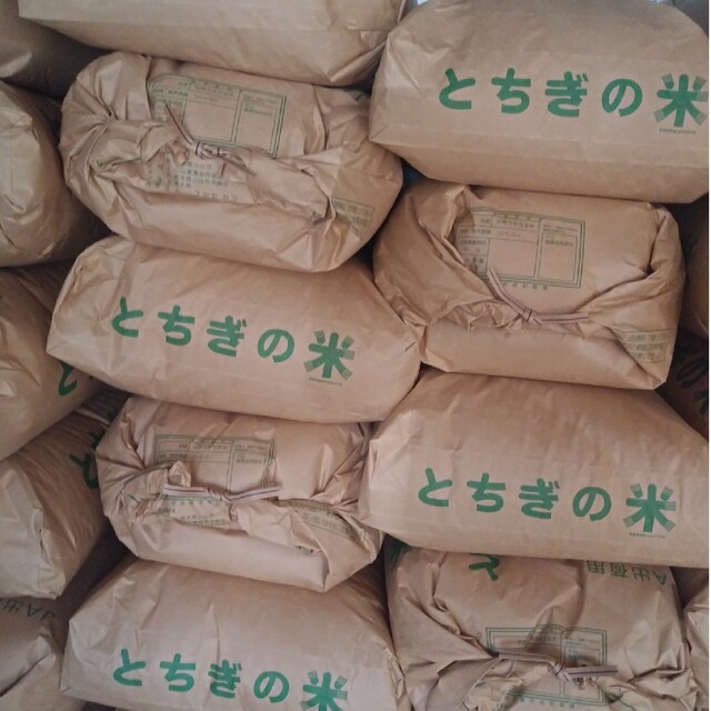 ◇農家直送 コシヒカリ 玄米10kg (栃木県産) | www.shakyastatuestrade.com