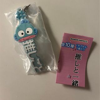 サンリオ(サンリオ)のハッシュタグつける　推しごとストラップ　はんぎょどん(キャラクターグッズ)