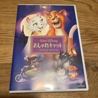 おしゃれキャット　スペシャル・エディション DVD(アニメ)