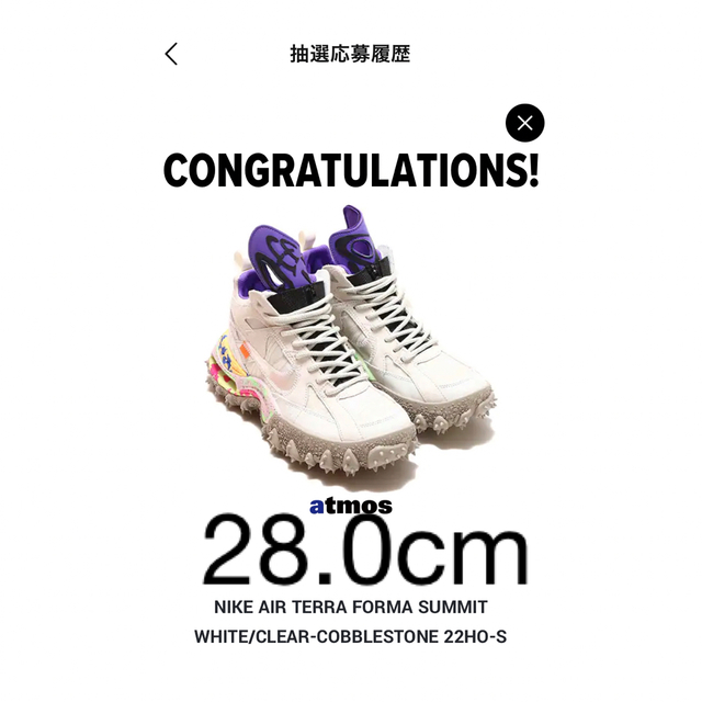 最終値下げ！　off-white×Nike Air Terra Forma