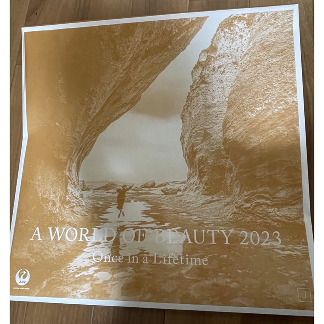 JAL 2023年 カレンダー A WORLD OF BEAUTY 2023