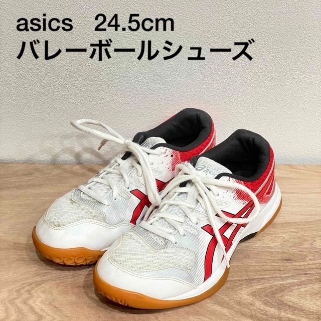 35%OFF】 アシックス バレーボールシューズ 24.5cm sushitai.com.mx