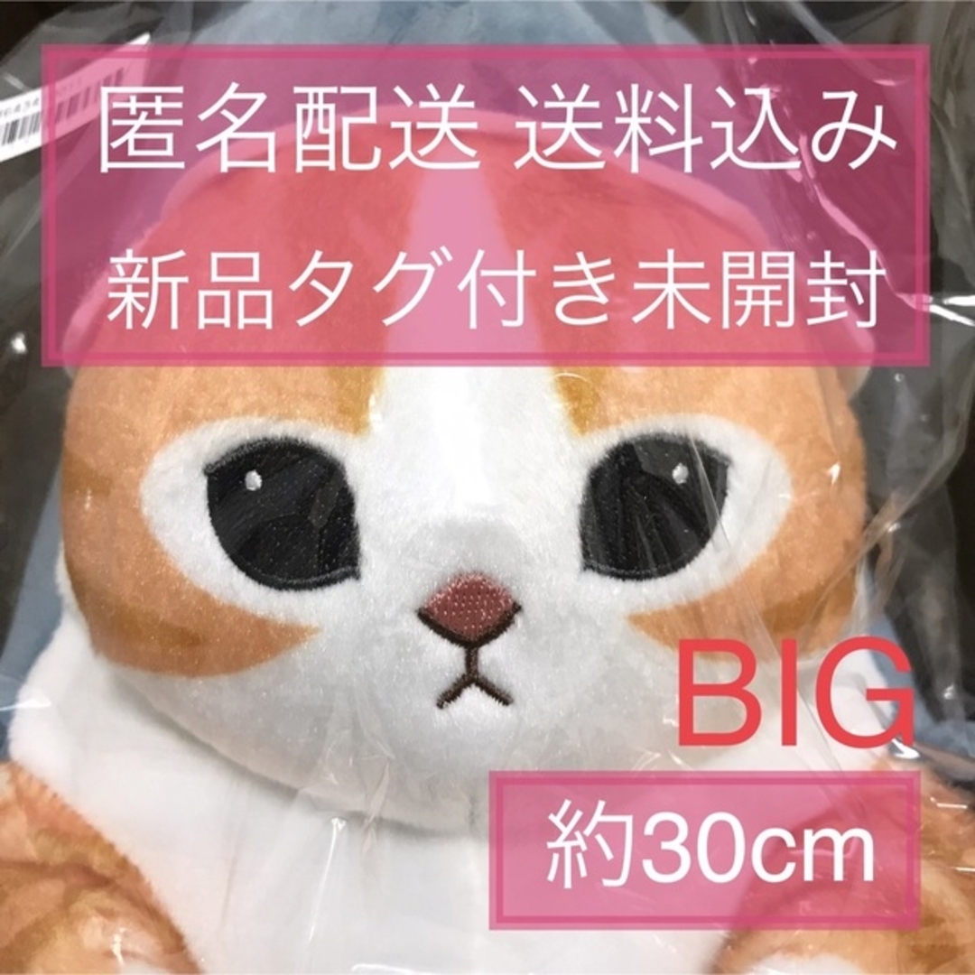 mofusand サメにゃん BIGぬいぐるみ ぢゅの