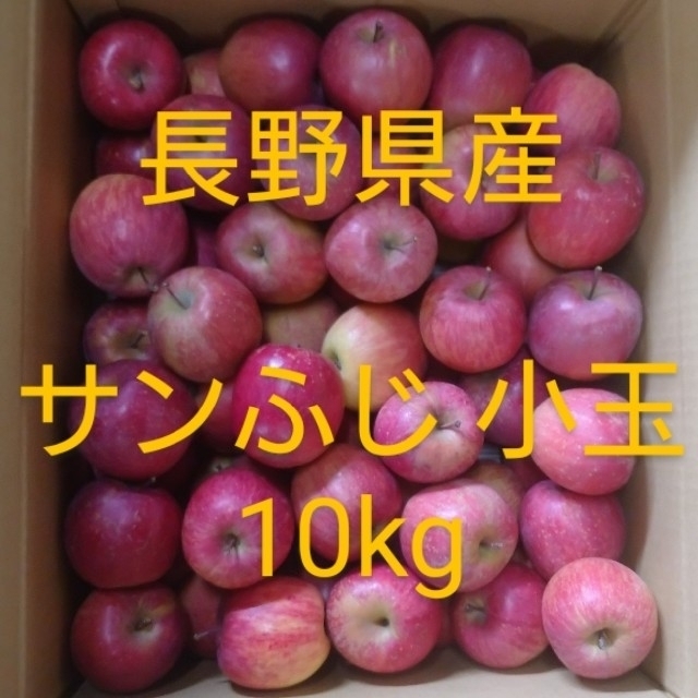 SS-1 サンふじ 小玉10kg 長野県産りんご 食品/飲料/酒の食品(フルーツ)の商品写真