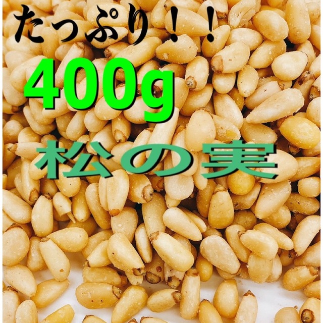 松の実 500g 特級AAグレード 大粒 生松の実 無添加 チャック袋