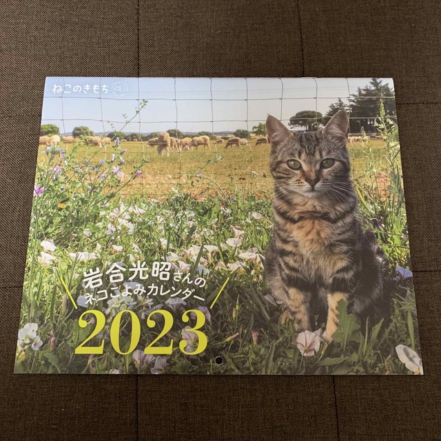 Benesse(ベネッセ)のねこのきもち　2023 カレンダー インテリア/住まい/日用品の文房具(カレンダー/スケジュール)の商品写真